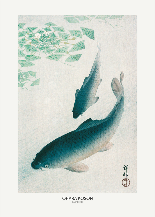 Poster "Carp Or Koi"