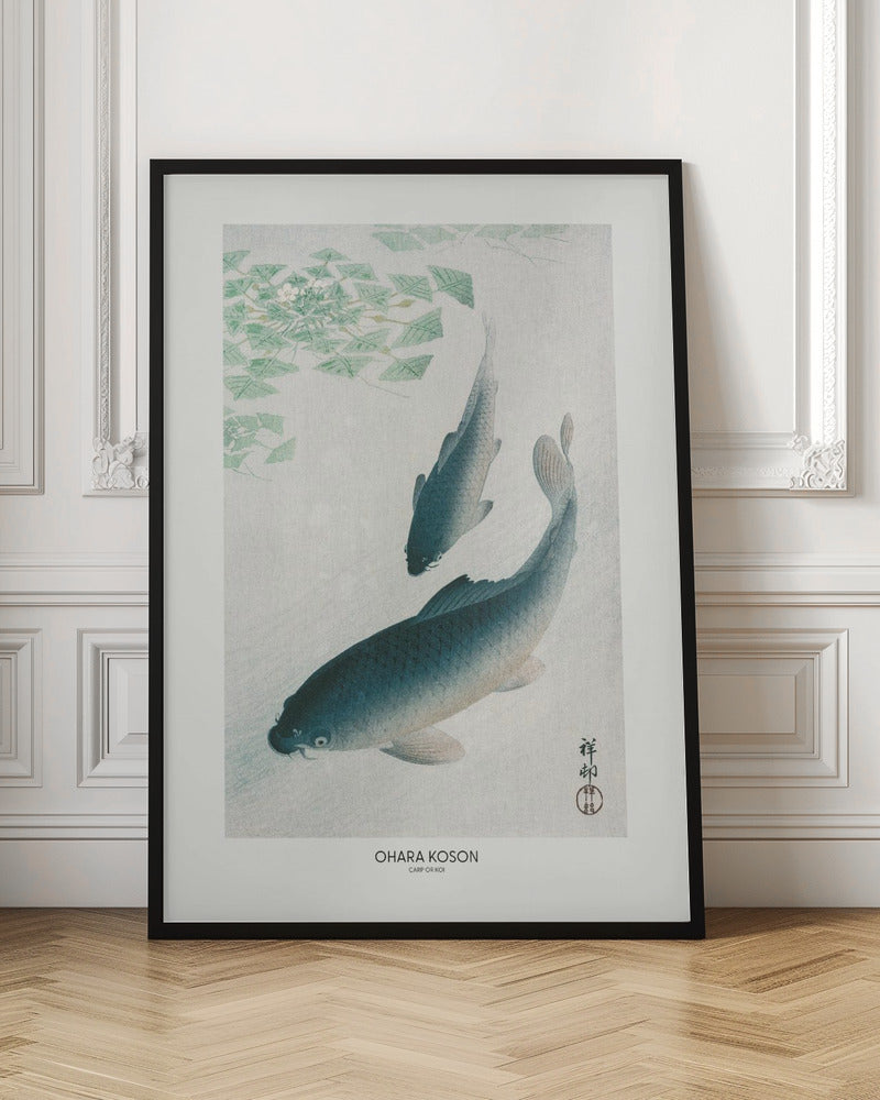 Poster "Carp Or Koi"